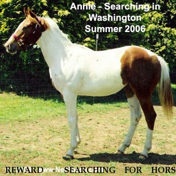REWARD - SEARCHING FOR HORSE ANNIE, Near Battle Ground , WA, 98682